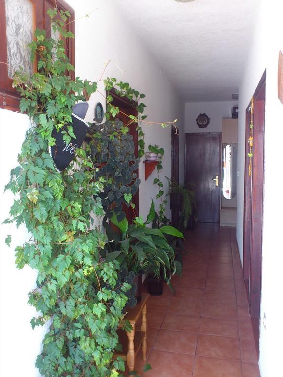سينج Apartment Leona المظهر الخارجي الصورة