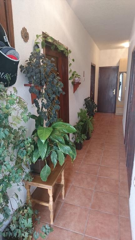 سينج Apartment Leona المظهر الخارجي الصورة
